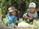 img0013.jpg