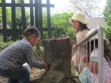 img0026.jpg