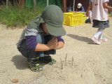 img0029.jpg