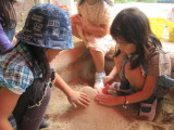 img0033.jpg