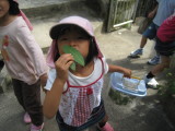 img0036.jpg