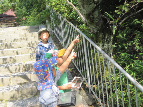 img0007.jpg