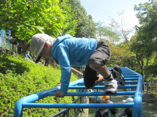 img0010.jpg