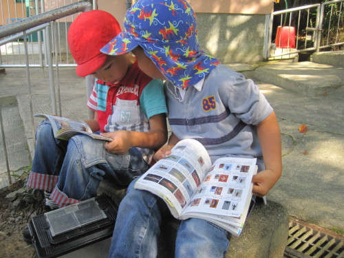 img0015.jpg
