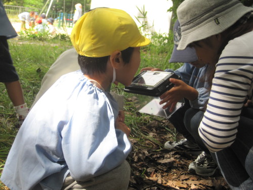 img0042.jpg