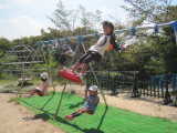 img0003.jpg
