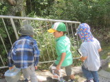 img0006.jpg