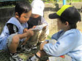 img0008.jpg