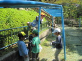 img0009.jpg