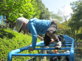 img0010.jpg