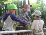 img0024.jpg