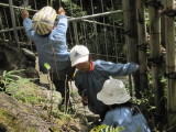 img0038.jpg