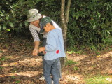 img0040.jpg