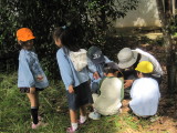img0041.jpg