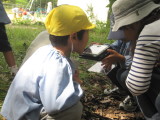 img0042.jpg