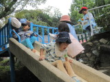 img0045.jpg