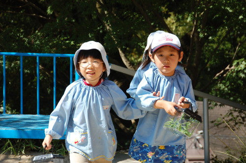 img0021.jpg