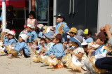 img0008.jpg