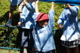 img0011.jpg
