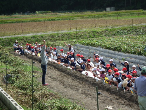 img0000.jpg