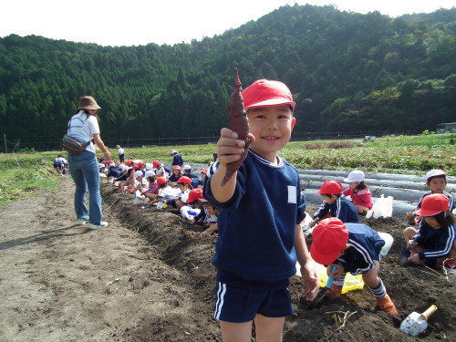 img0002.jpg