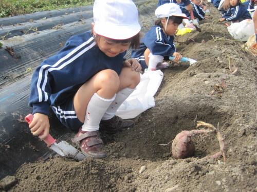 img0004.jpg