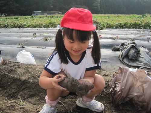 img0005.jpg