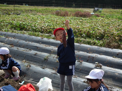 img0006.jpg