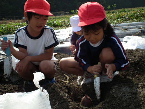 img0009.jpg
