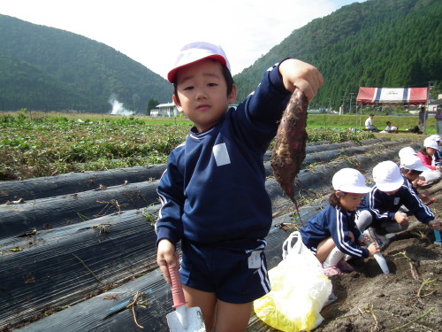 img0011.jpg