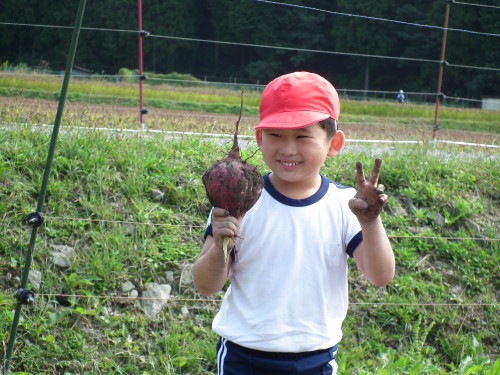 img0018.jpg