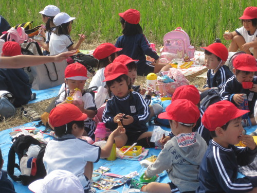 img0041.jpg