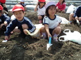 img0003.jpg