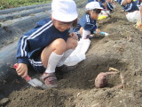img0004.jpg