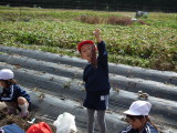 img0006.jpg