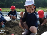 img0007.jpg