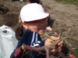 img0010.jpg