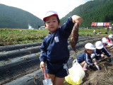 img0011.jpg