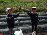img0012.jpg