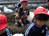 img0013.jpg