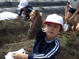 img0015.jpg