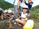 img0017.jpg