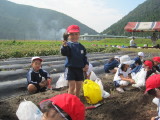 img0022.jpg