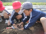 img0025.jpg