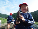img0027.jpg