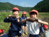 img0031.jpg