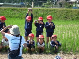 img0033.jpg