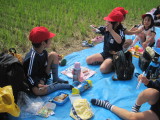 img0037.jpg