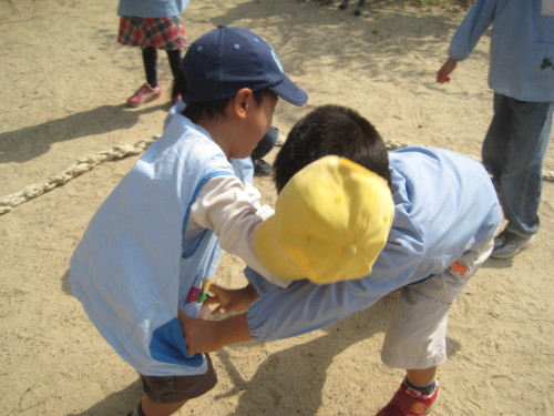 img0036.jpg