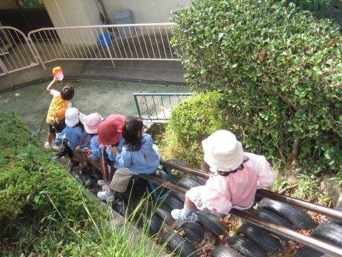 img0050.jpg